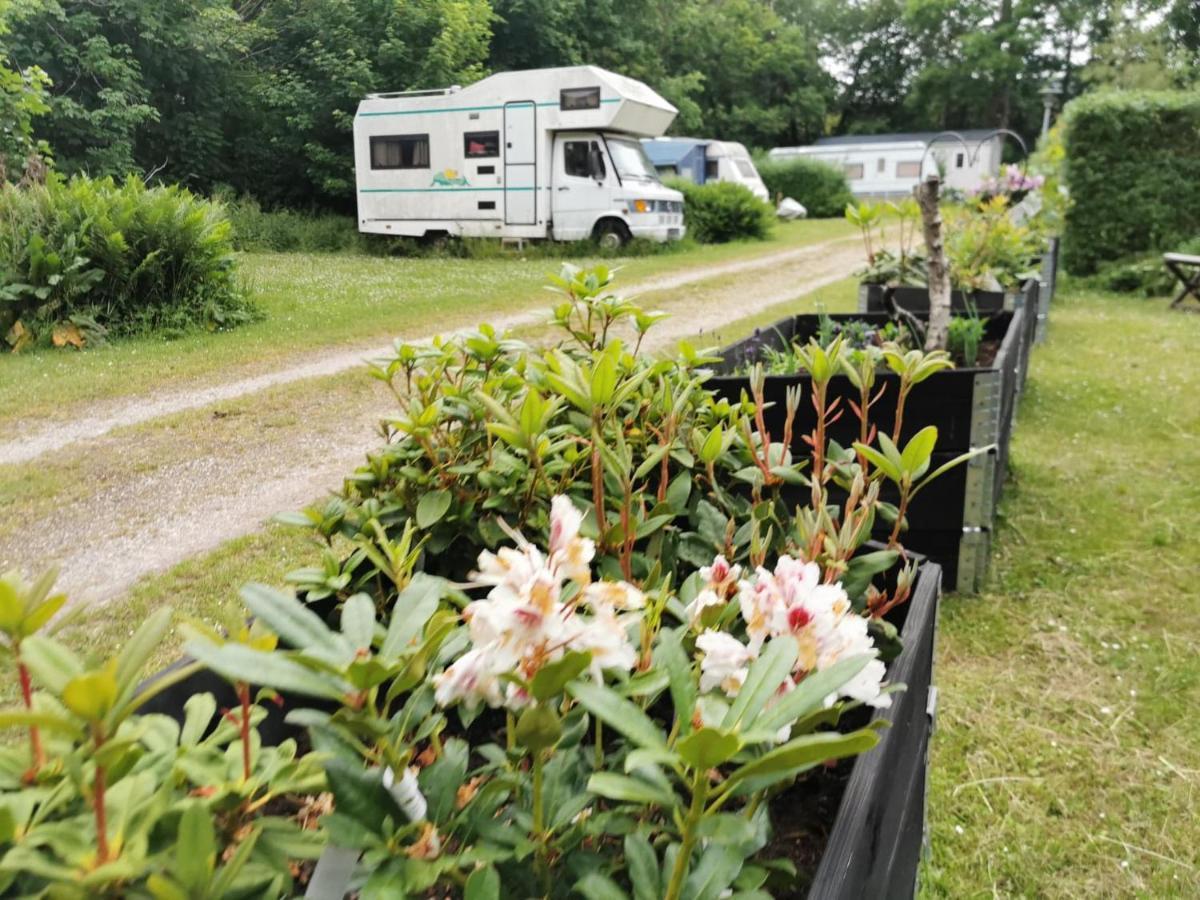 Frederiksvaerk Camping & Hostel Екстер'єр фото
