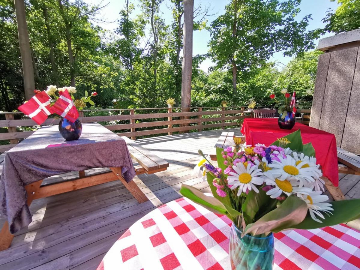 Frederiksvaerk Camping & Hostel Екстер'єр фото