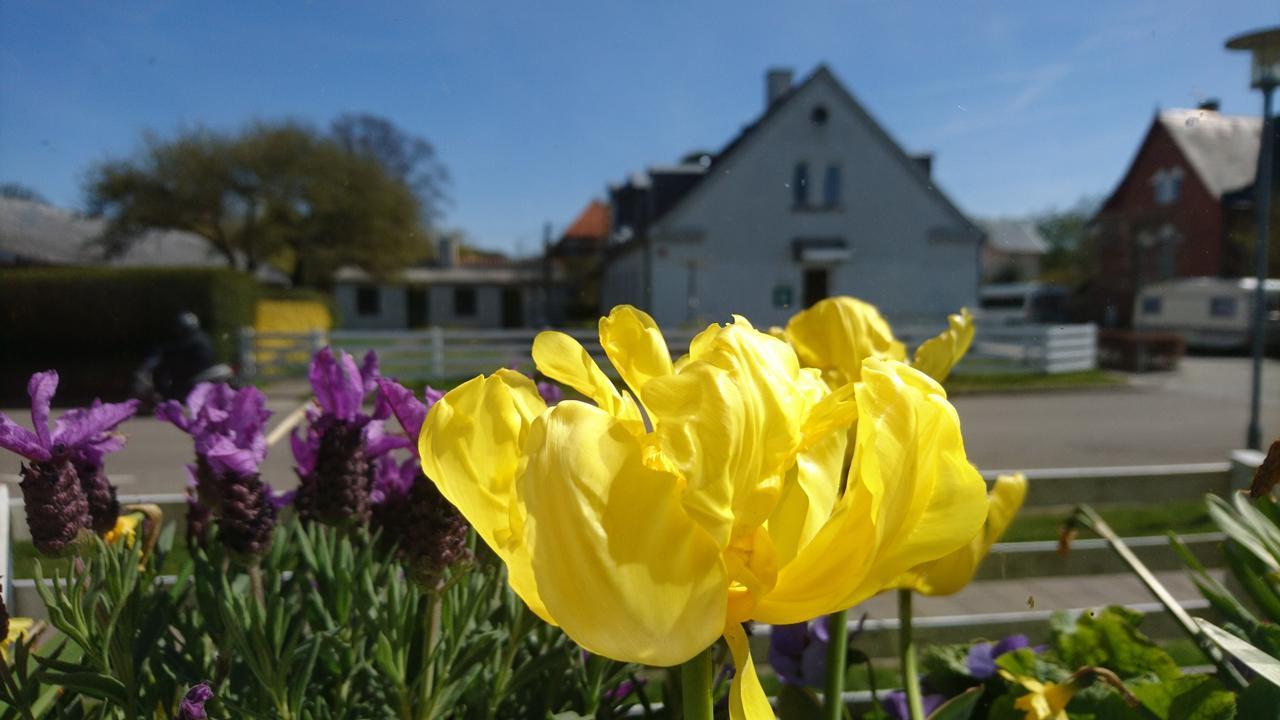 Frederiksvaerk Camping & Hostel Екстер'єр фото